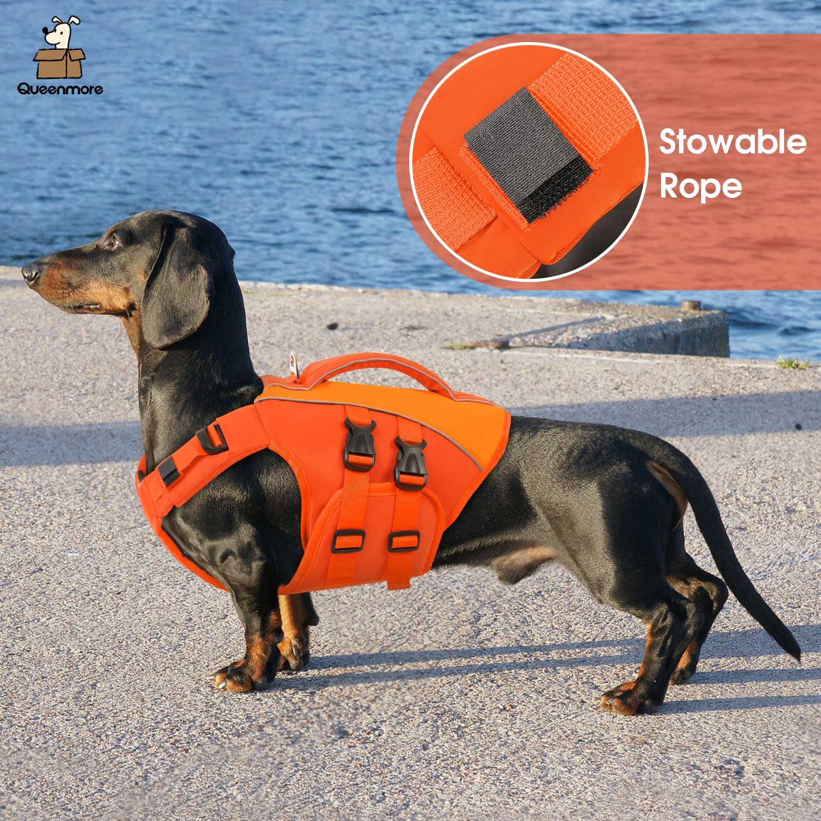 Gilet Queenmore chien anneau pour la laisse facilitant le contrôle en déplacement