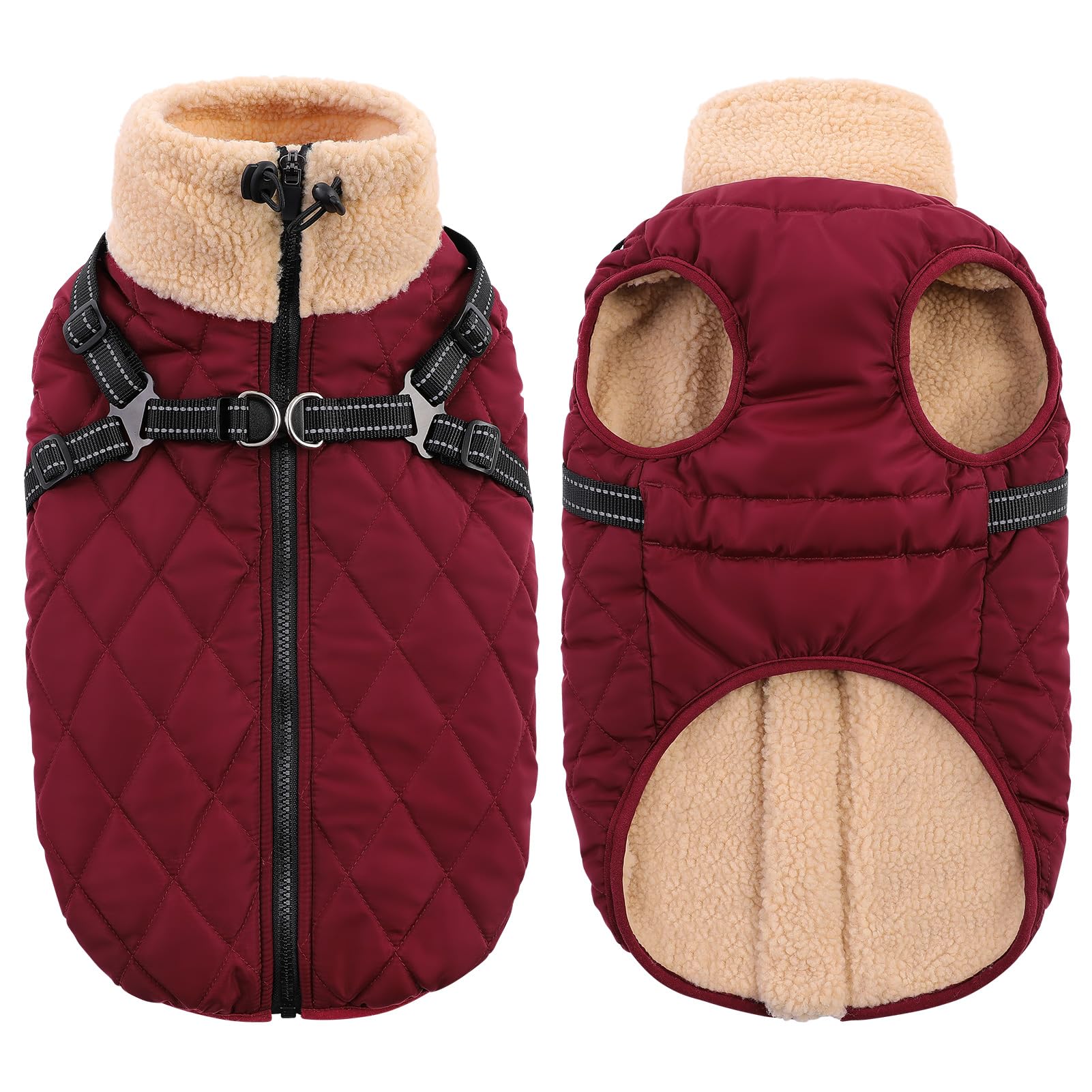 Queenmore gilet chien idéal pour randonnées et jeux hivernaux.