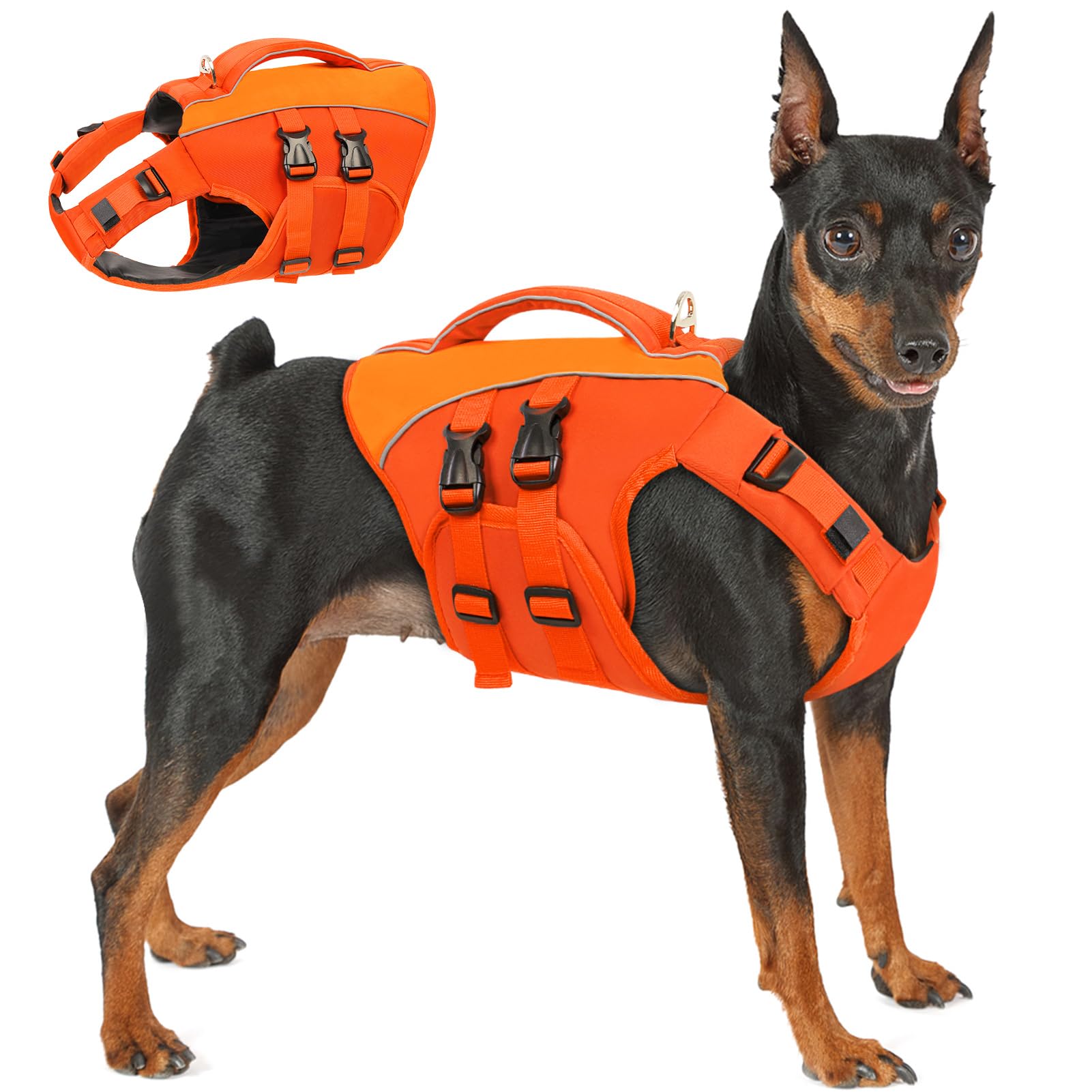 Queenmore gilet chien à flottabilité élevée idéal pour baignade et sorties en bateau