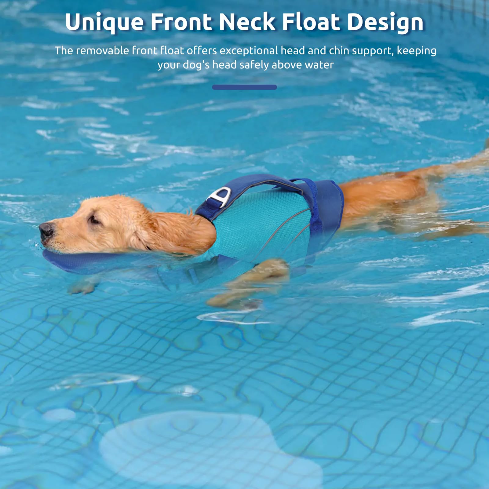 Queenmore gilet-chien front-flotteur menton offrant soutien du visage
