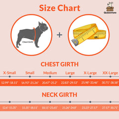 Gilet Queenmore chien poignee arrière ergonomique pour lever rapidement votre chien hors de l eau
