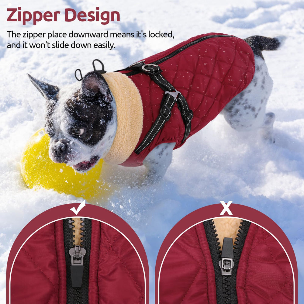 Queenmore gilet chien disponible en taille 3XL pour grande taille.