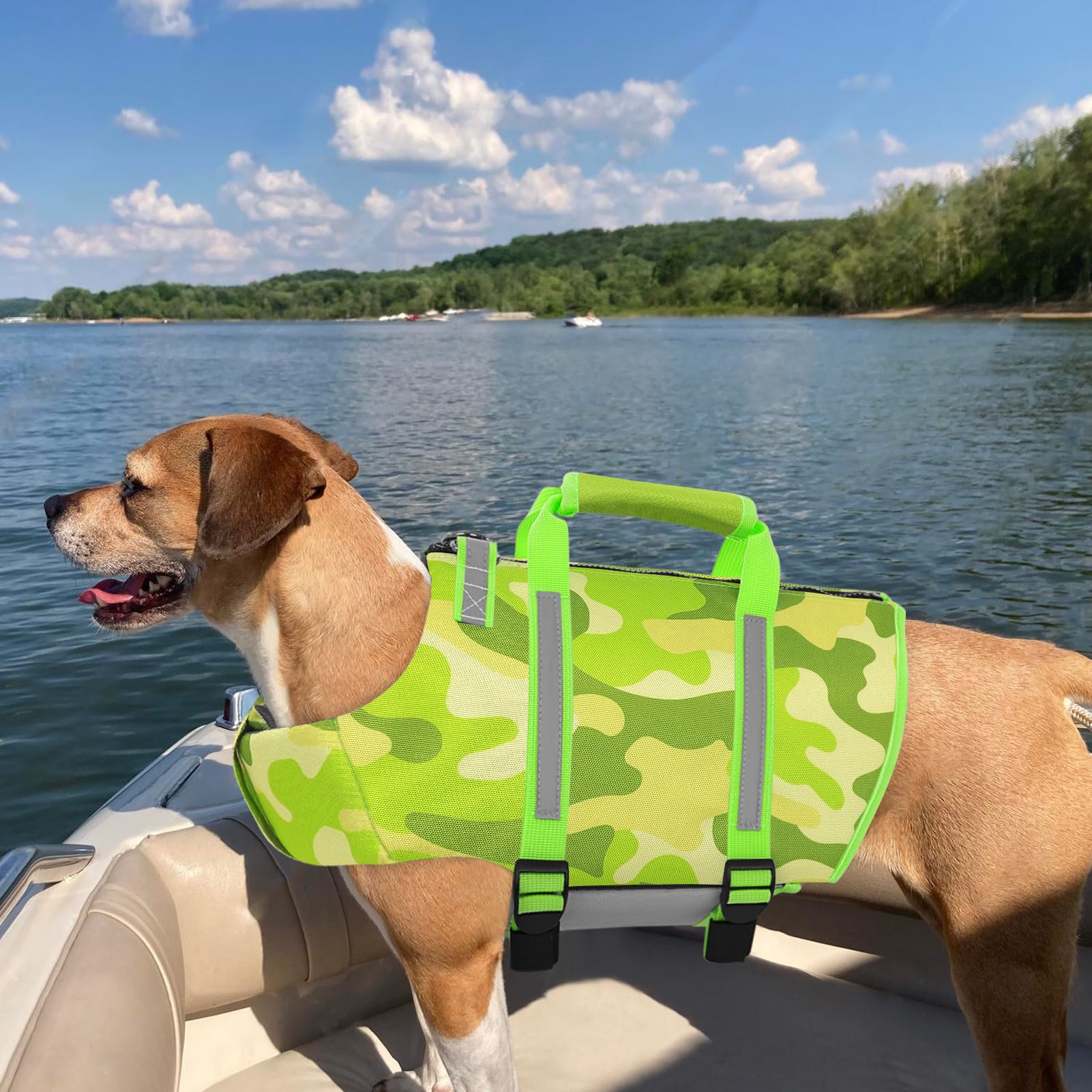Version vert camouflage Queenmore, conçue pour les grandes races et les sorties en eau.
