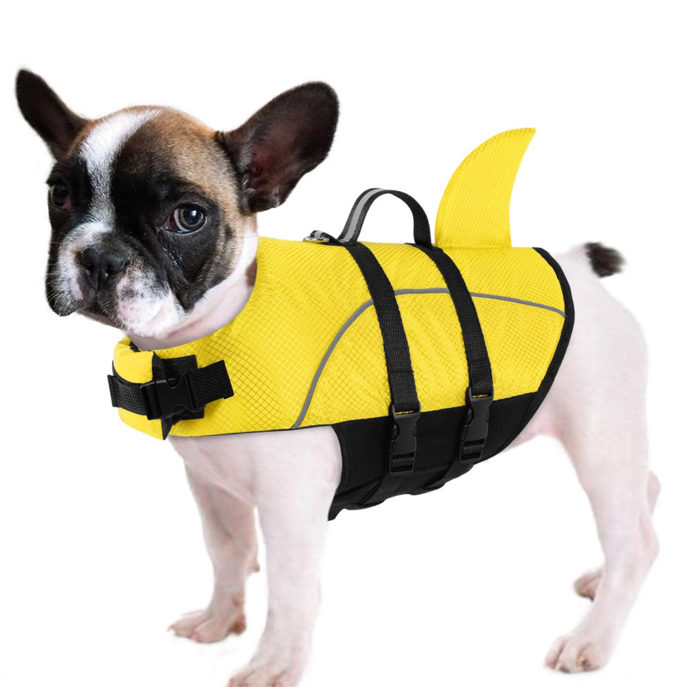 Queenmore gilet sauvetage chien haute flottabilite pour baignade plus sûre.