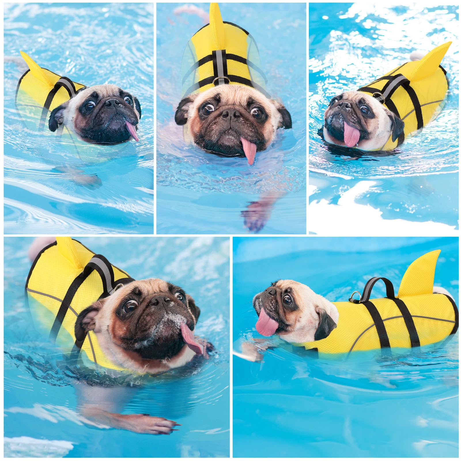 Queenmore gilet jaune, grande visibilité pour chiens lors des sorties près de l’eau.
