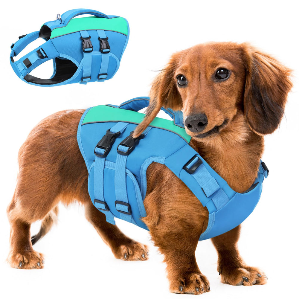 Queenmore gilet sauvetage chien moyen - avant, flottabilité élevée pour la natation