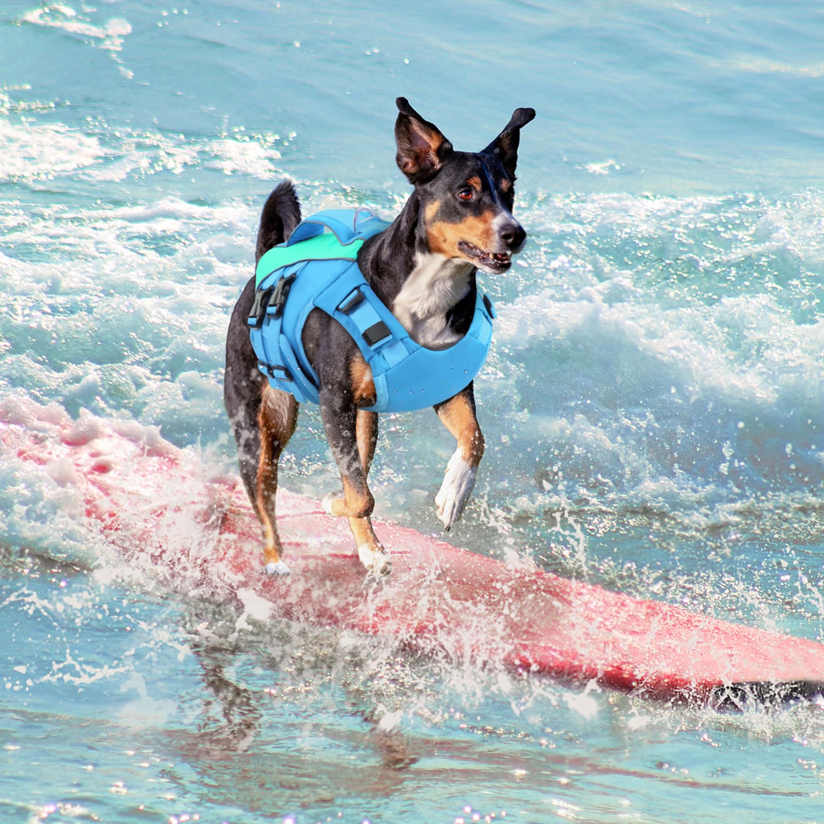 Queenmore gilet sauvetage chien moyen - dos ergonomique et confortable