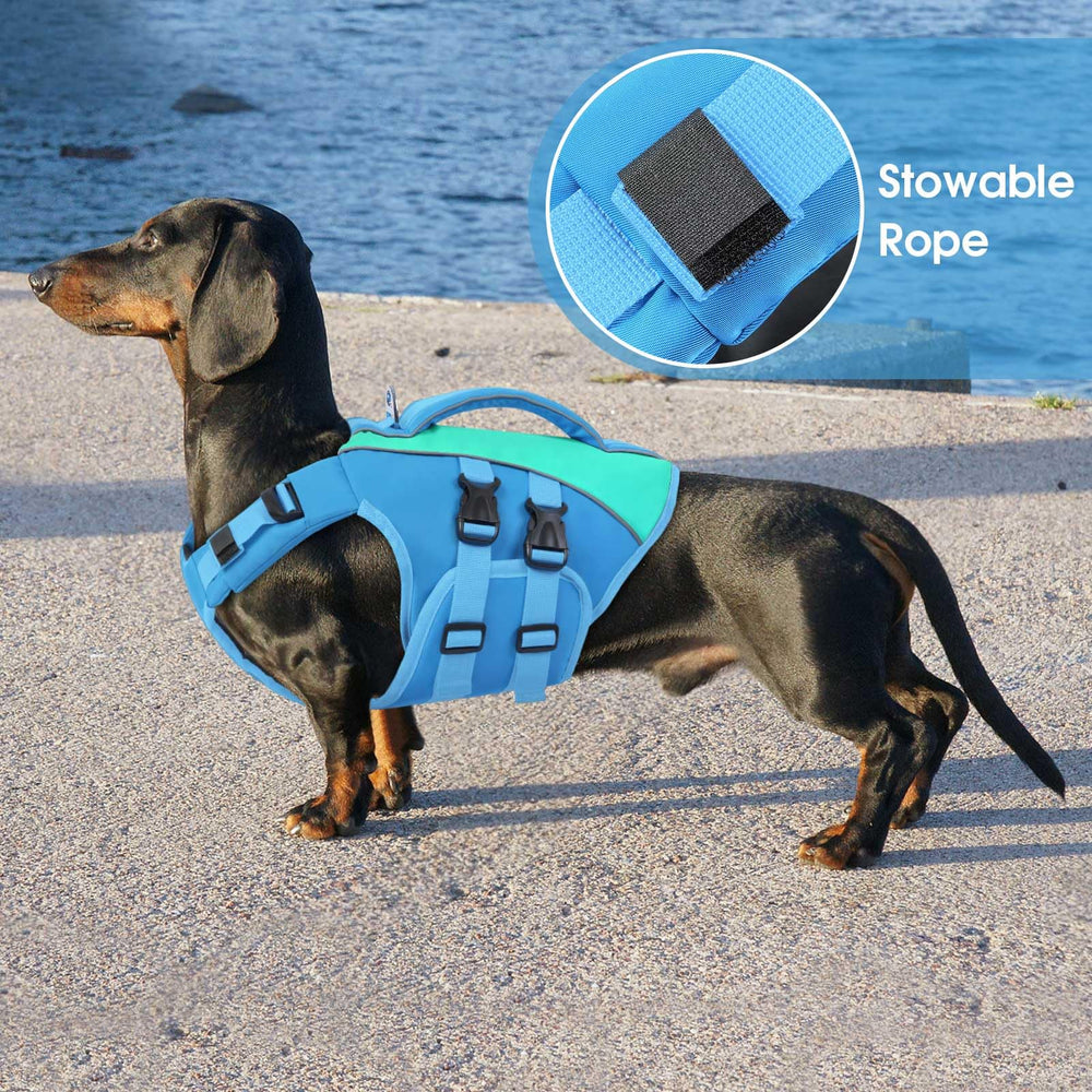 Queenmore gilet sauvetage chien moyen - sangles ajustables pour un ajustement personnalisé