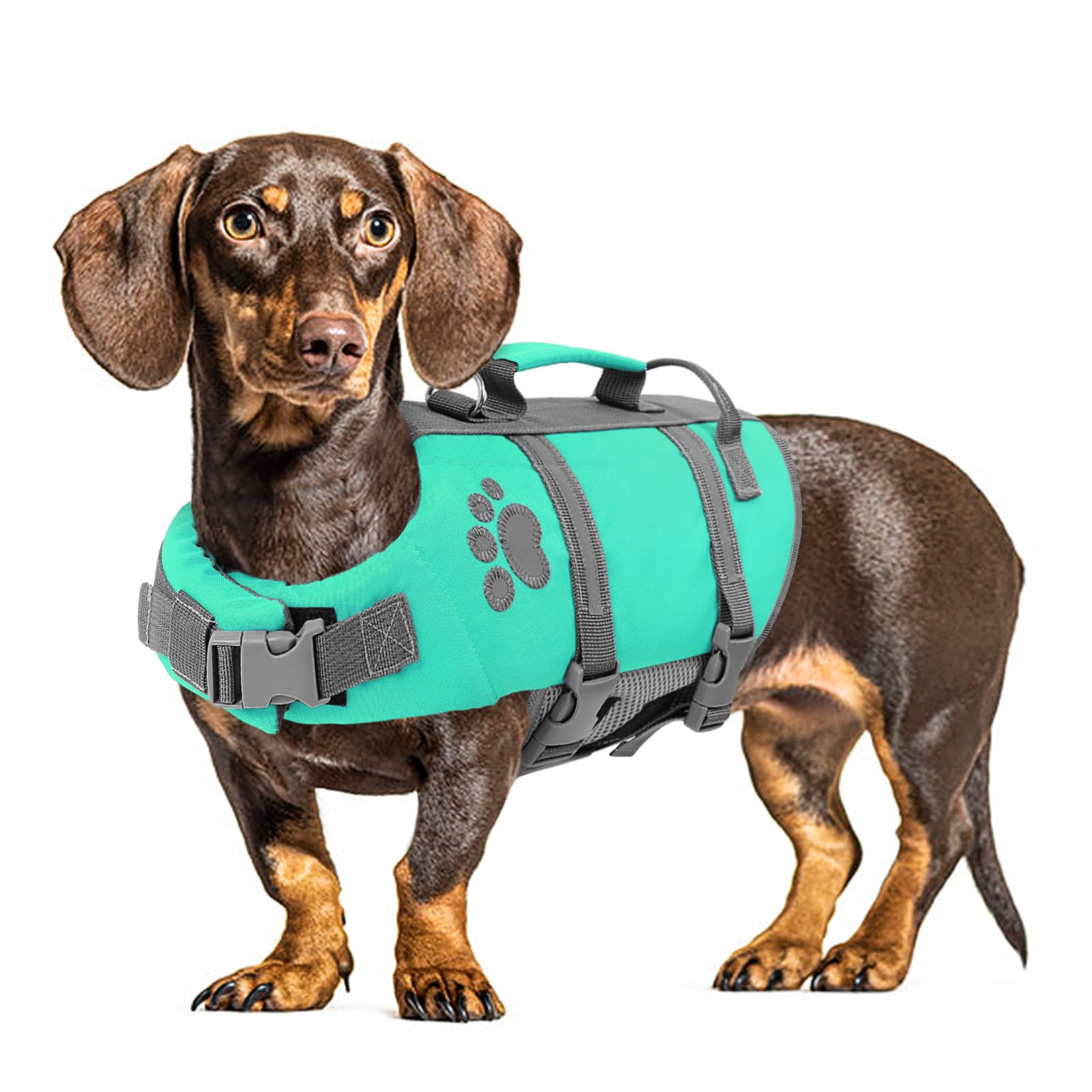 Queenmore gilet sauvetage chien moyen: avant offrant une flottaison fiable.