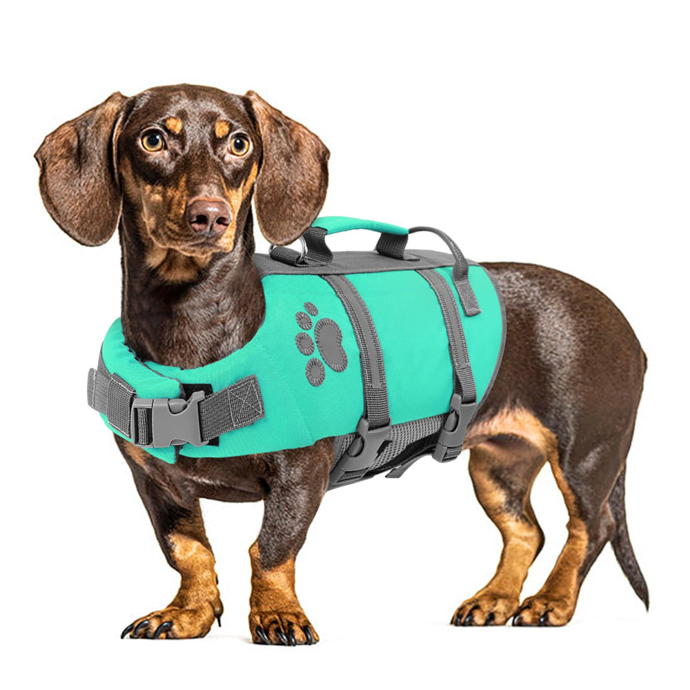 Queenmore gilet sauvetage chien moyen: avant offrant une flottaison fiable.