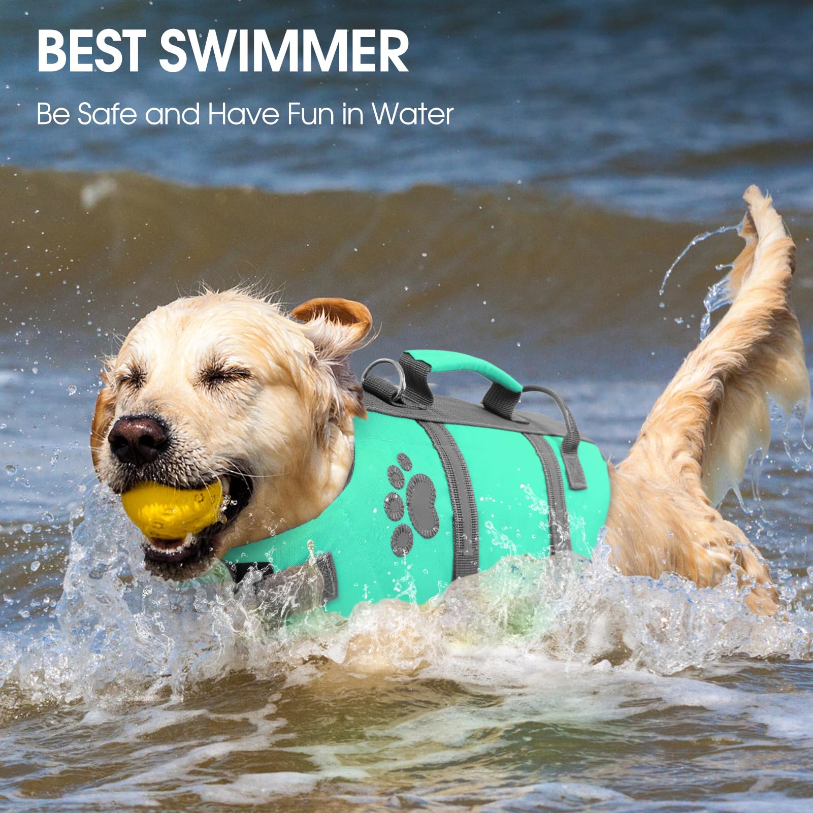 Queenmore gilet sauvetage chien moyen: utilisation pratique en bateau et plage.