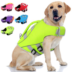 Gilet de sauvetage Queenmore pour chien en nage, sécurité lors des sorties aquatiques.