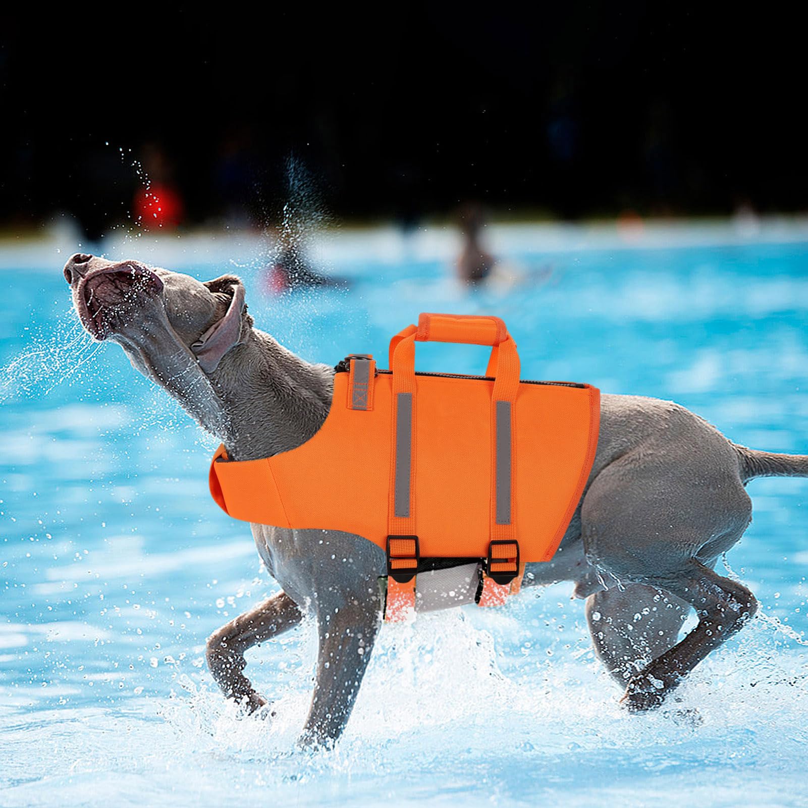 Queenmore gilet sauvetage chien orange, poignée de secours pour aide rapide