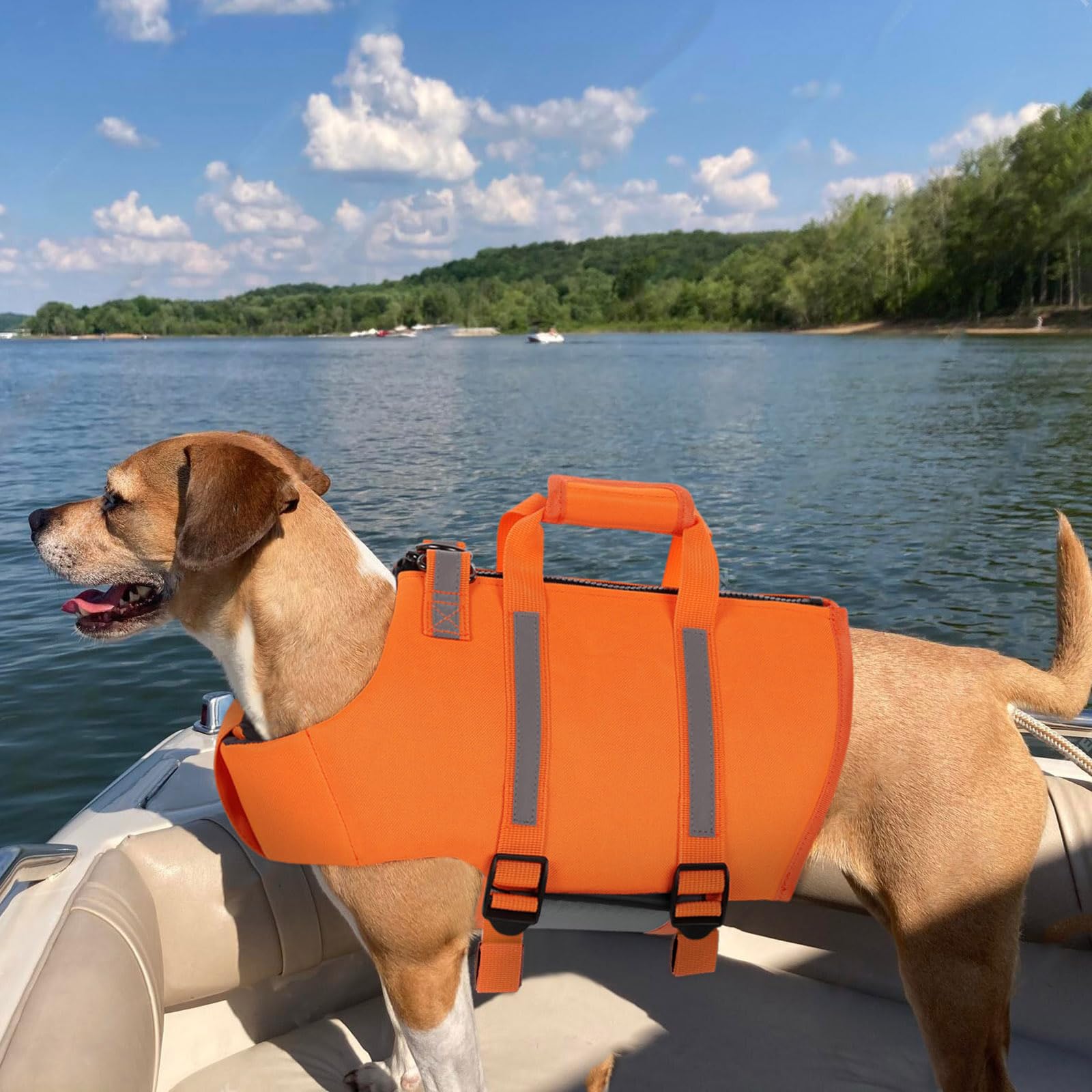 Queenmore gilet sauvetage chien orange, idéal pour natation et sorties bateau