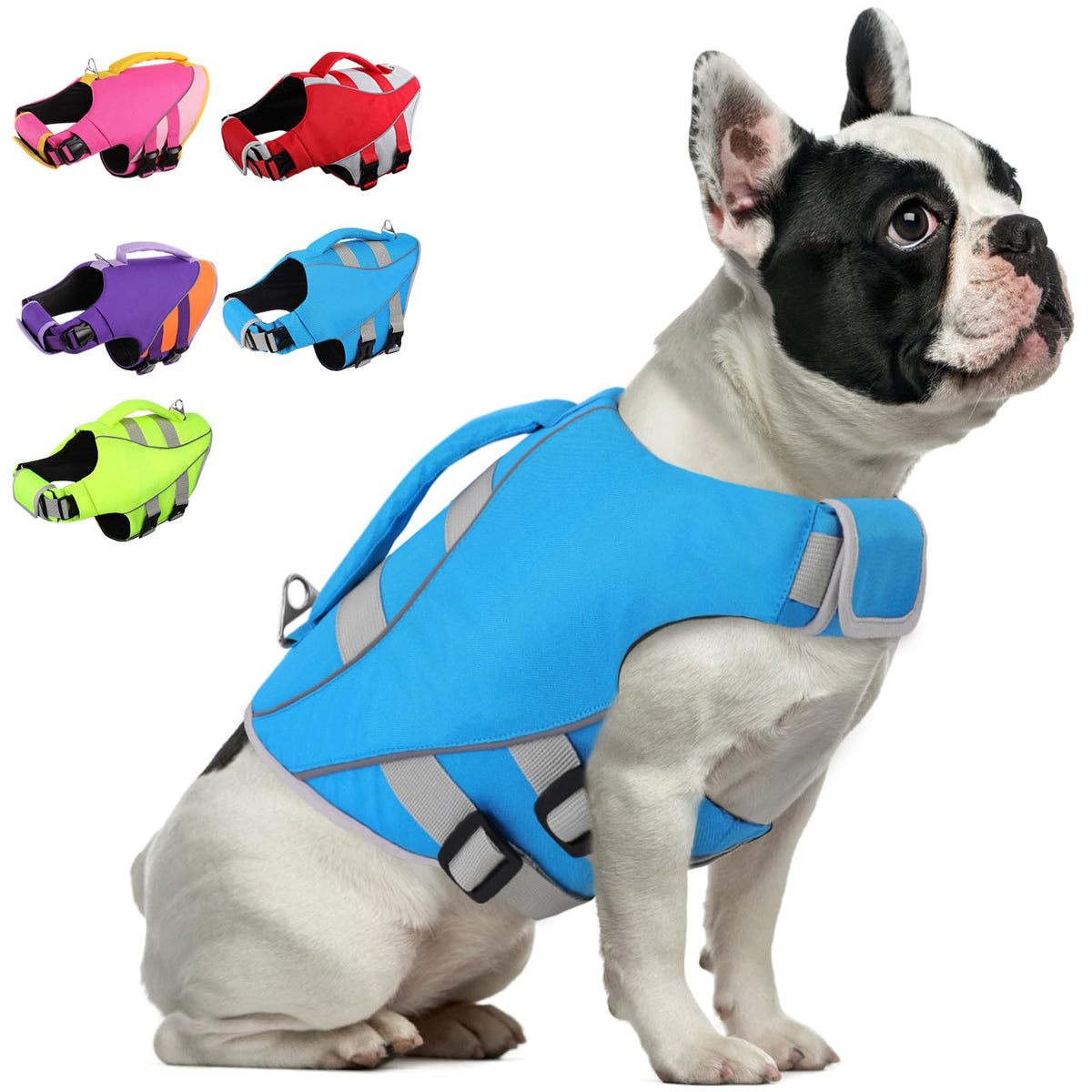 Gilet Queenmore pour petit chien en bleu néon, haute visibilité pour la nage.