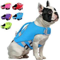 Gilet Queenmore pour petit chien en bleu néon, haute visibilité pour la nage.