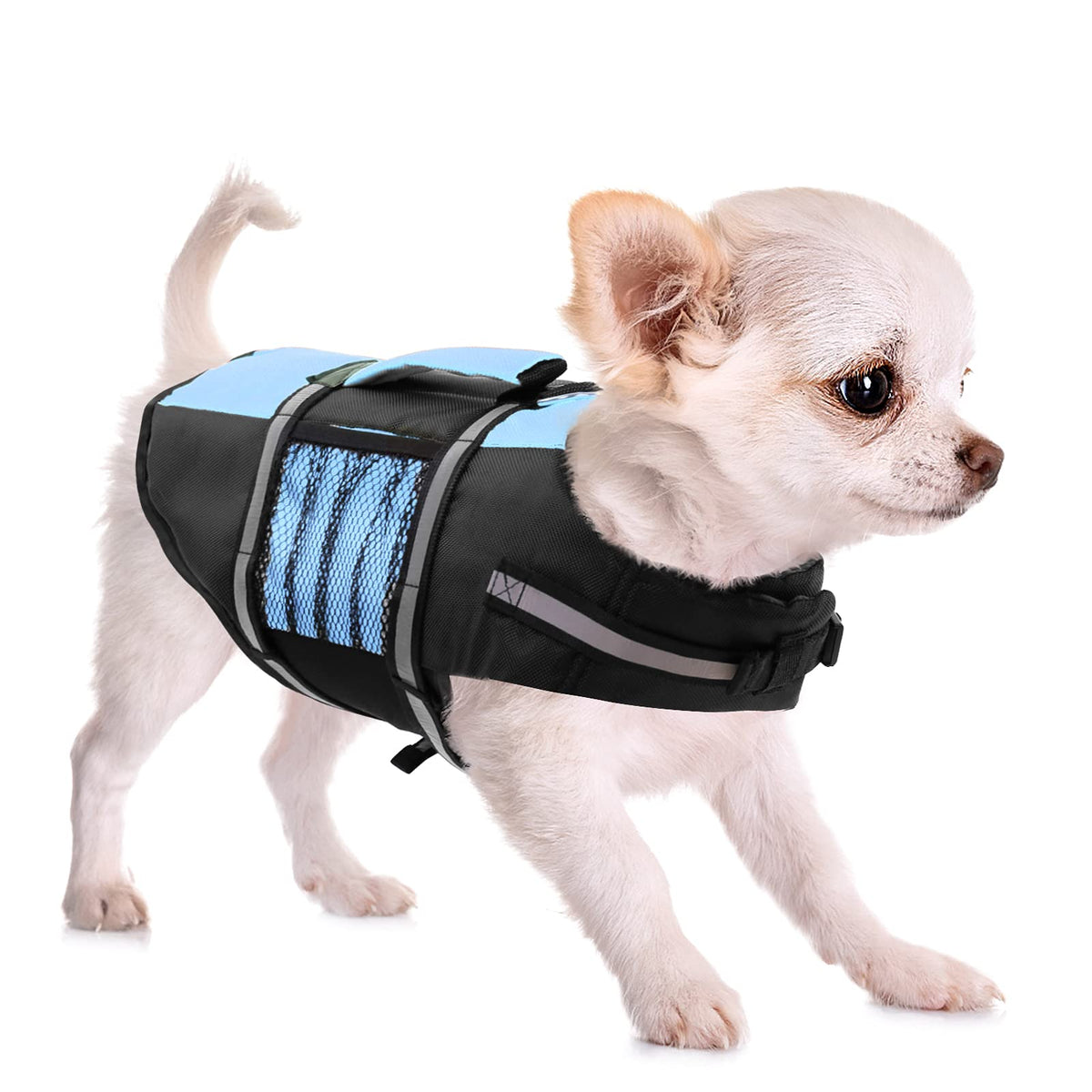 Queenmore gilet sauvetage petit chien design mignon et léger pour sorties bateau