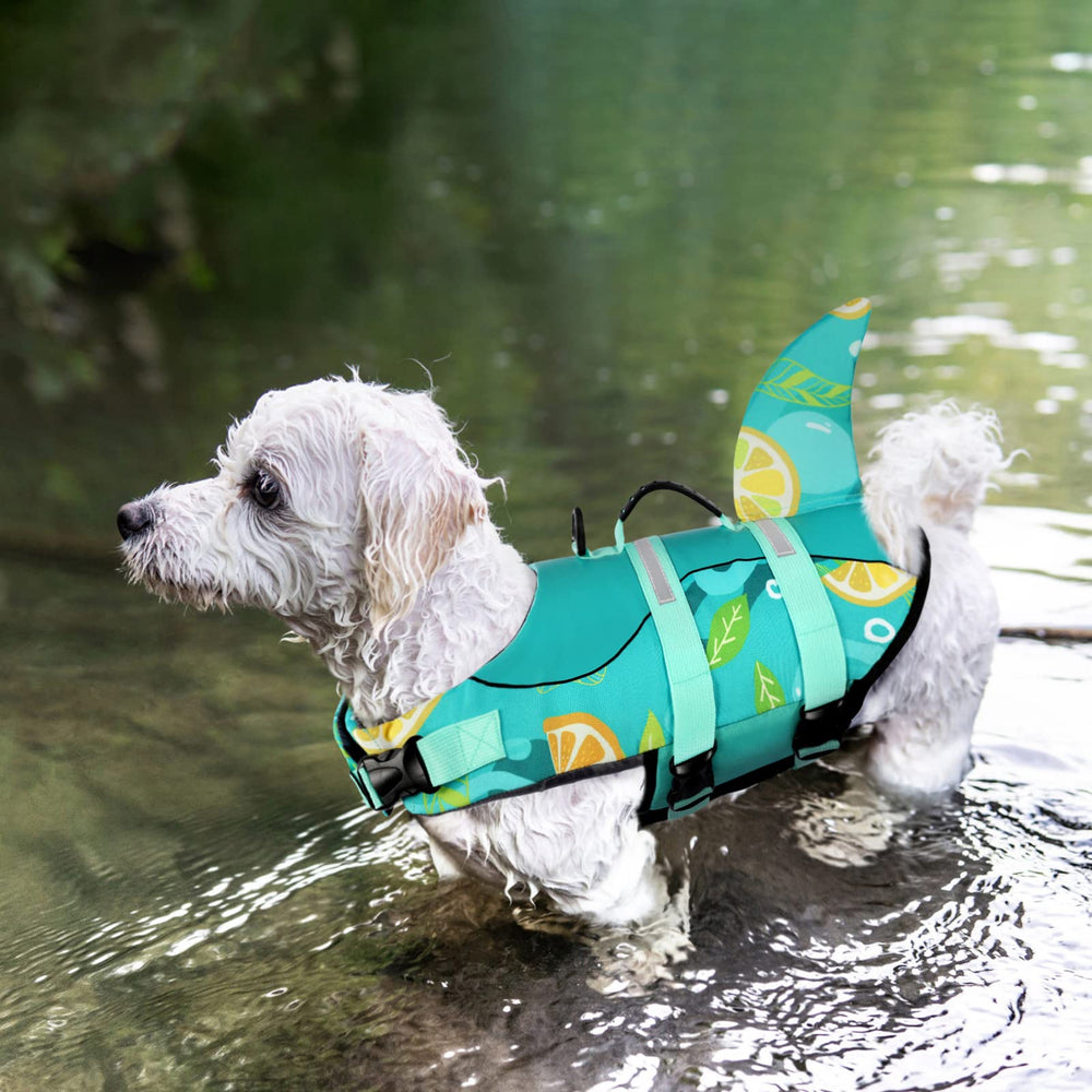 Queenmore gilet sauvetage chien tissu ripstop: résistance et confort durable pendant les jeux aquatiques.