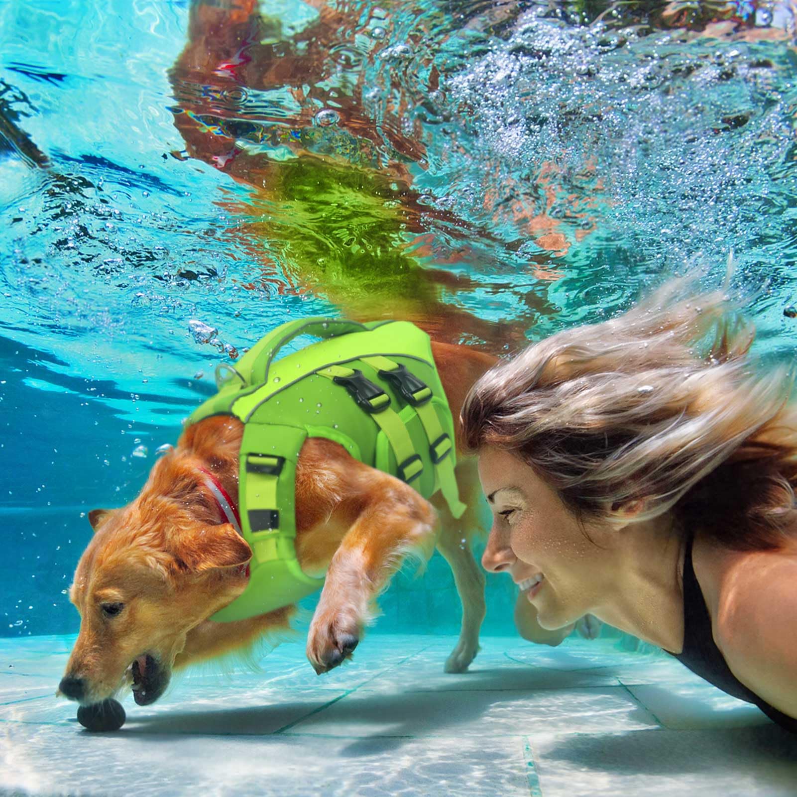 Queenmore gilet sauvetage chien vert confort et mouvement libre