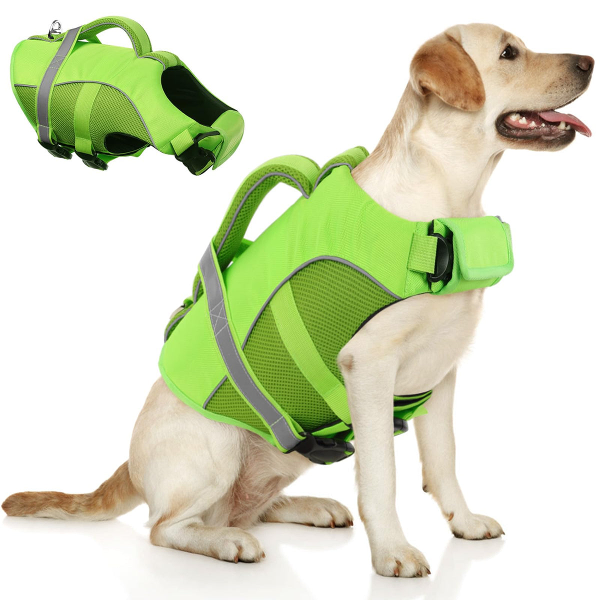 Queenmore gilet sauvetage chien vert M vue avant, flottabilité fiable.