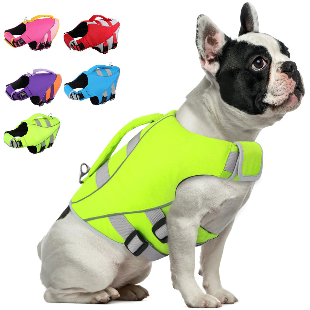 Queenmore gilet sauvetage chien vert neon, vue frontale, sécurité accrue sur l'eau.