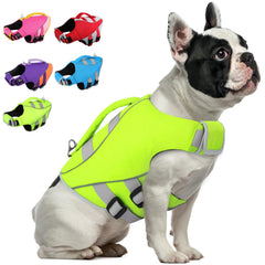 Queenmore gilet sauvetage chien vert neon, vue frontale, sécurité accrue sur l'eau.