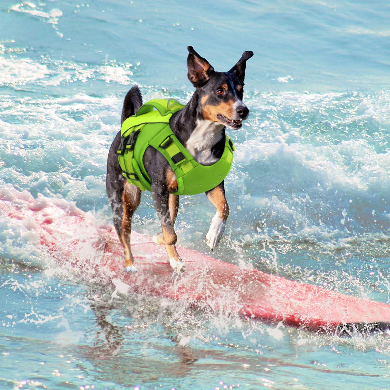 Queenmore gilet sauvetage chien vert pratique a transporter lors des voyages