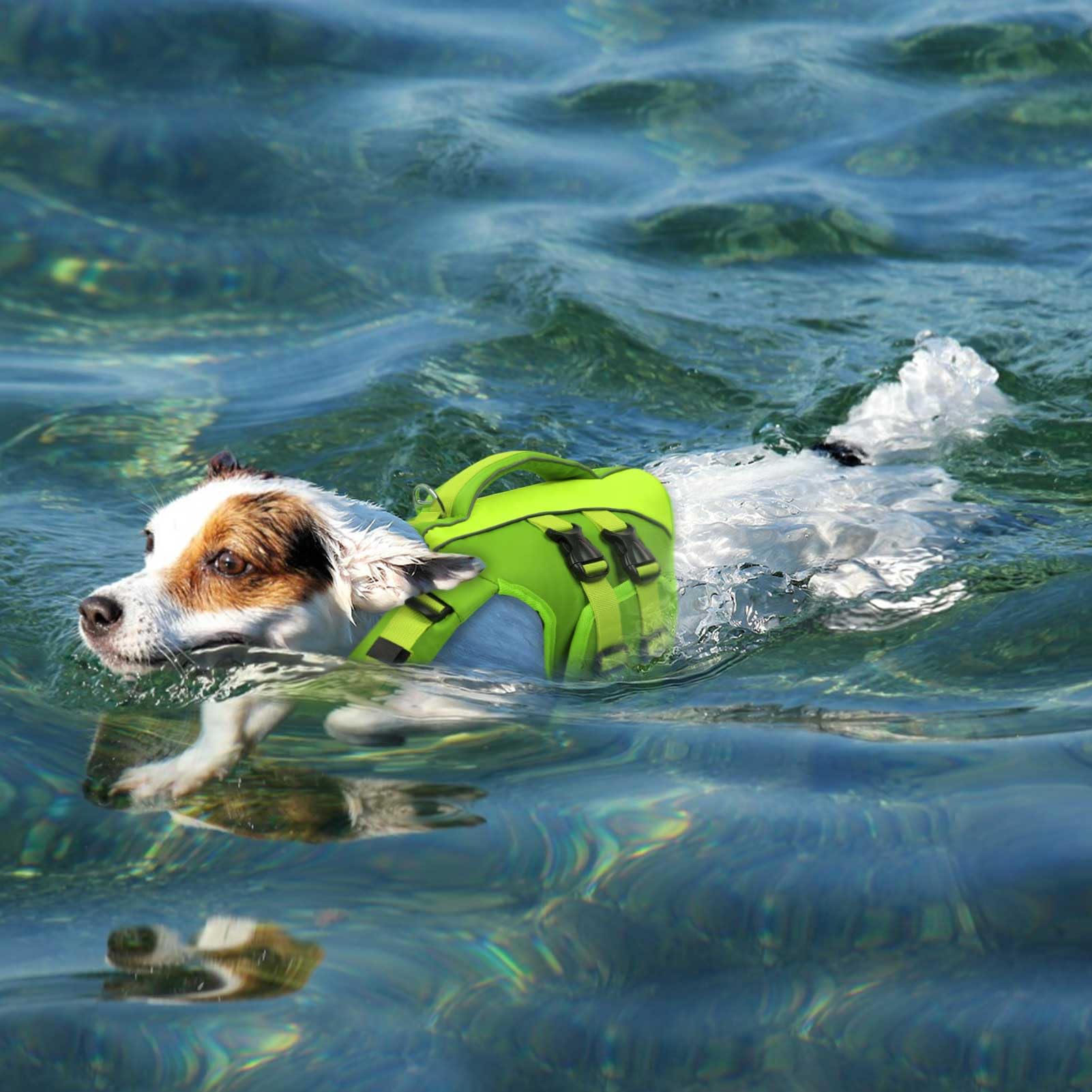 Queenmore gilet sauvetage chien vert usage pour natation