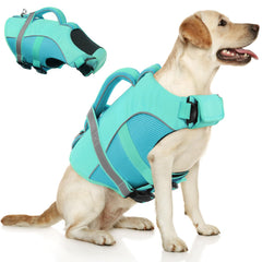 Queenmore gilet sauvetage chien XXL lightblue vue avant pour flotter en sécurité lors des sorties