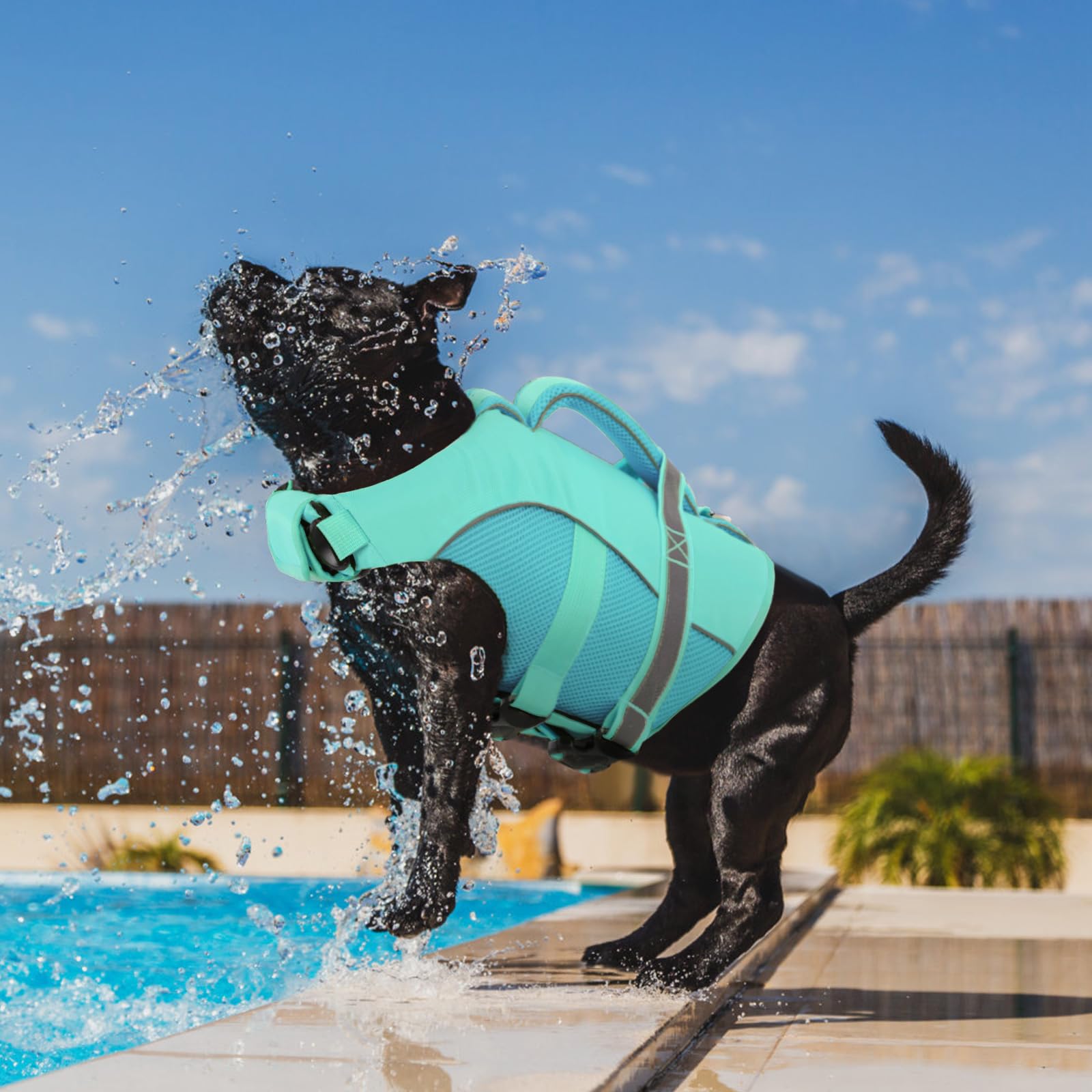 Queenmore gilet sauvetage chien XXL lightblue matériaux nylon oxford durables