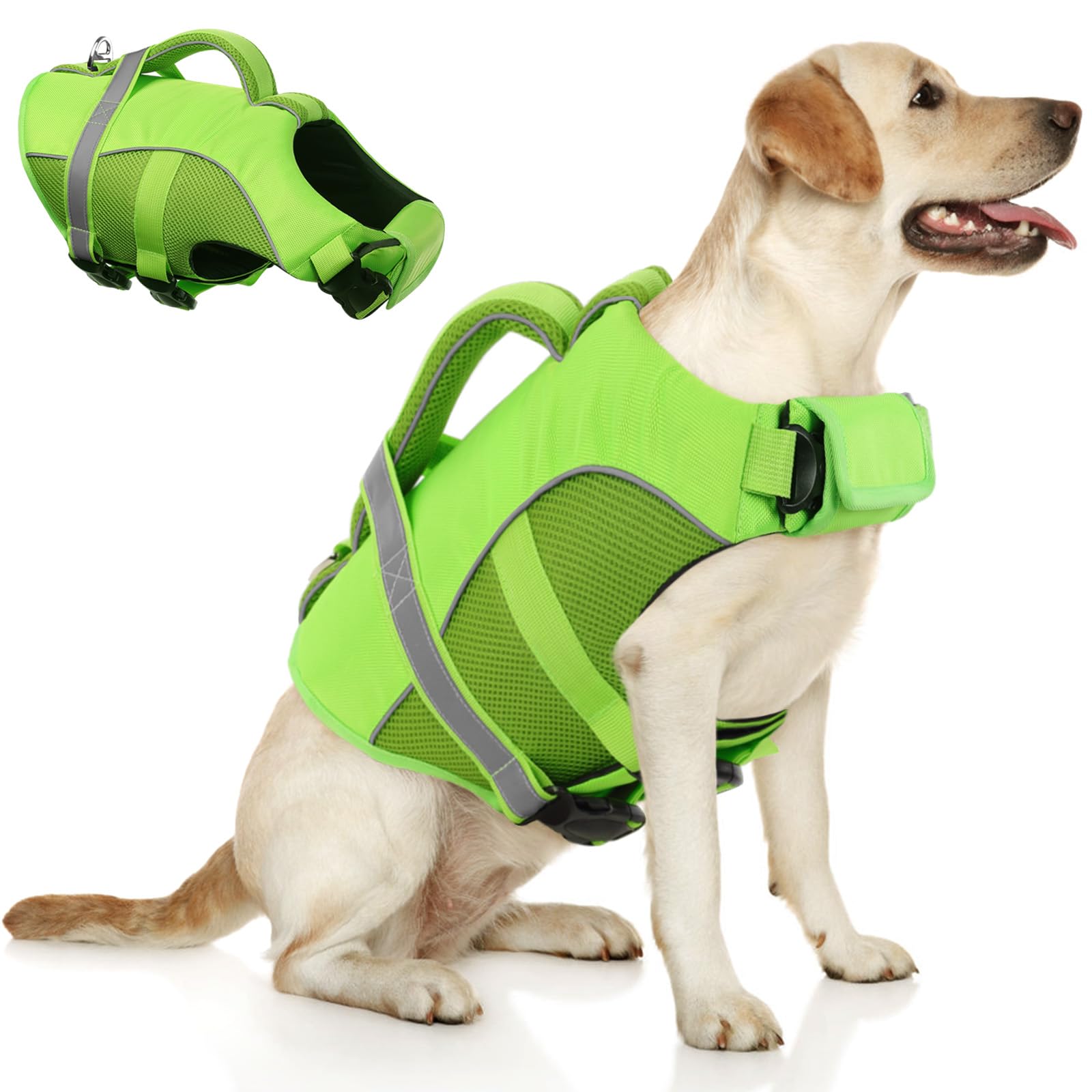 Queenmore gilet sauvetage chien XXL vert vu de face, flottabilité fiable en eau