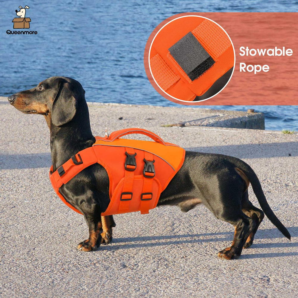 Queenmore gilet de vie chien avec anneau D pour attacher la laisse