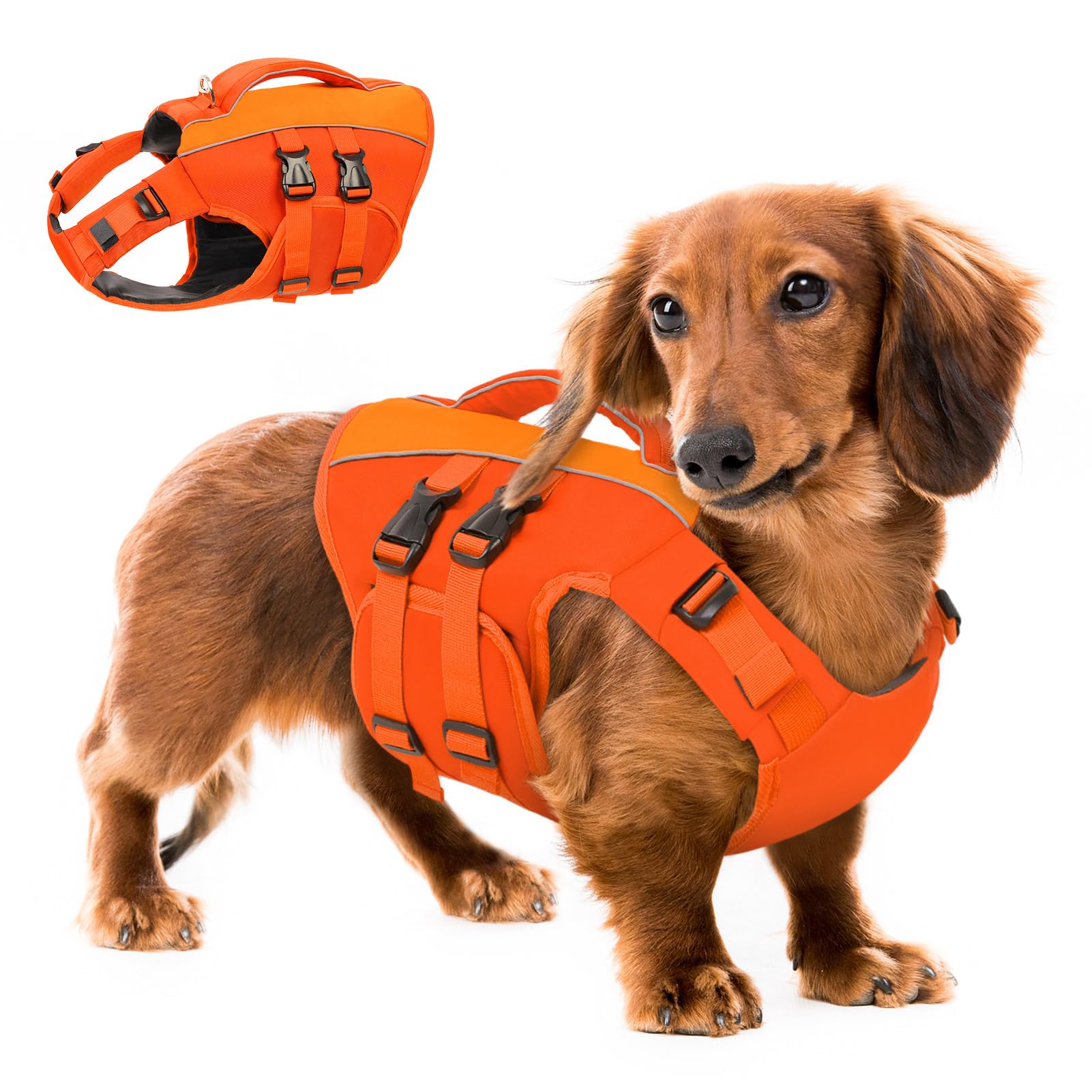 Queenmore gilet de vie chien orange vue avant, flottabilité sécurisée