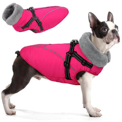 Queenmore grand manteau chien avec harnais intégré pour promenades sécurisées