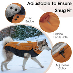 Queenmore manteau chien acces-laisse-dos facilite les promenades.