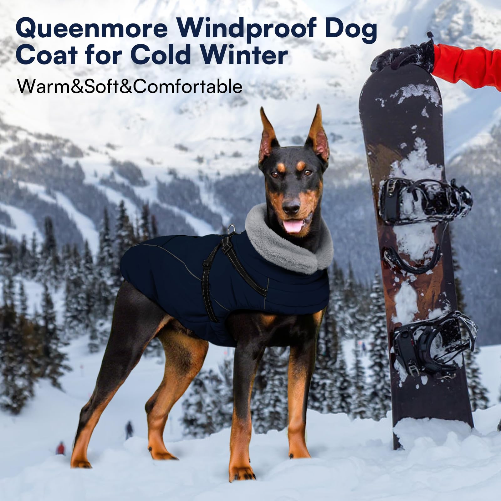 Col en peluche du manteau Queenmore enveloppant le cou du chien.