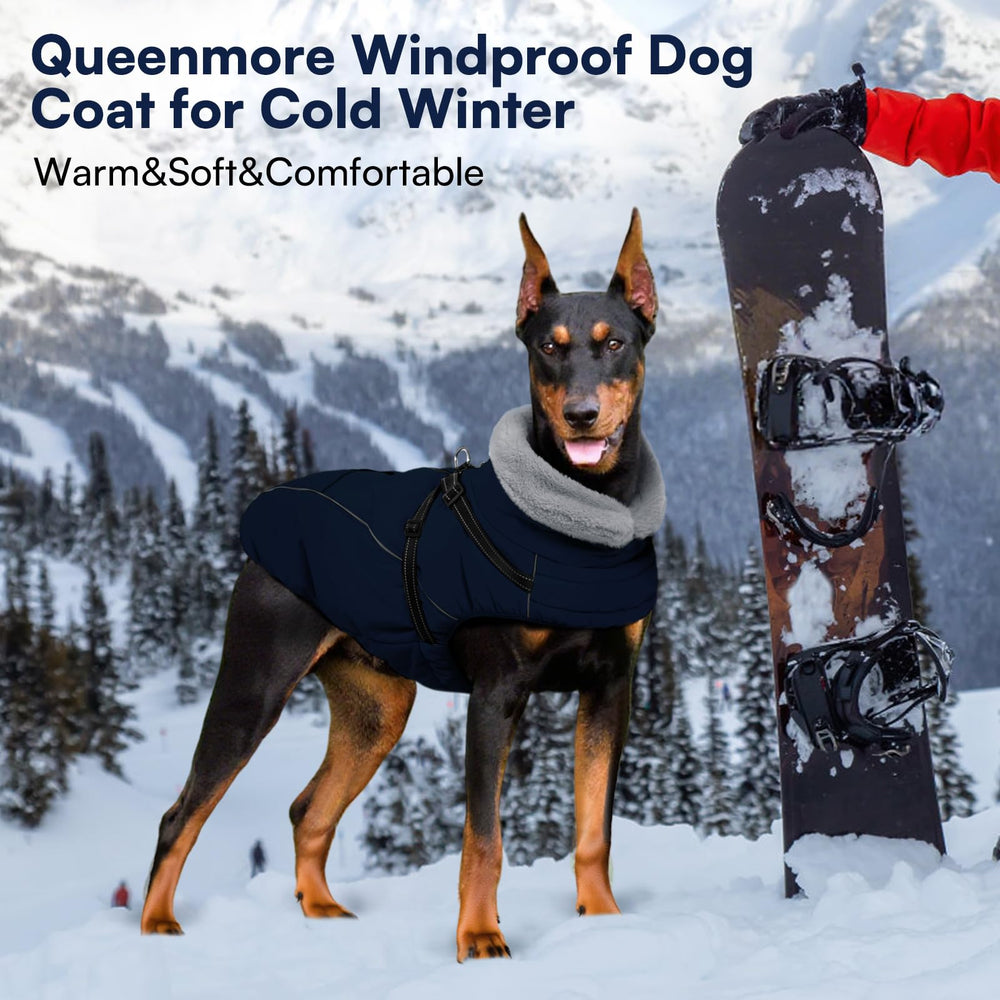 Col en peluche du manteau Queenmore enveloppant le cou du chien.