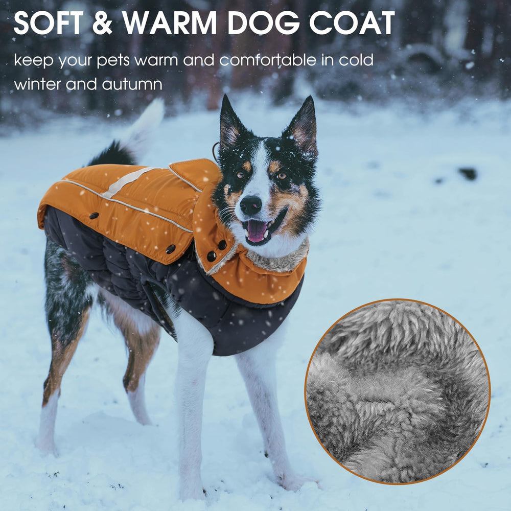 Queenmore manteau chien Cou haut protège le cou par temps froid.