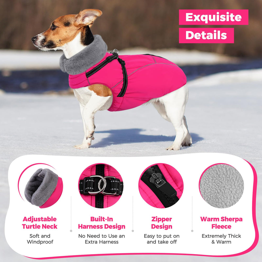 Queenmore manteau chien fermeture éclair rapide pour habillage sans effort