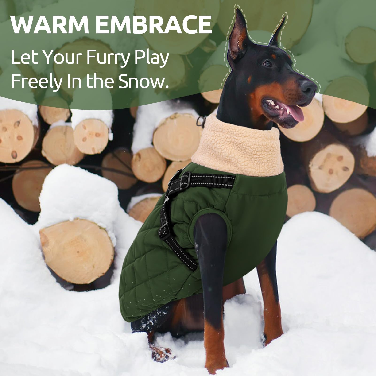 Queenmore manteau chien grand hiver imperméable Oxfor pour temps pluvieux.