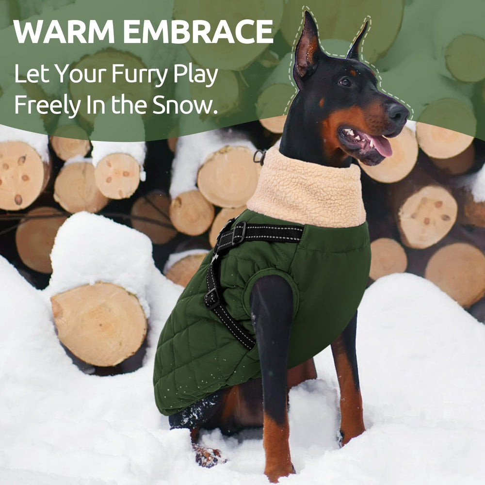 Queenmore manteau chien grand hiver imperméable Oxfor pour temps pluvieux.