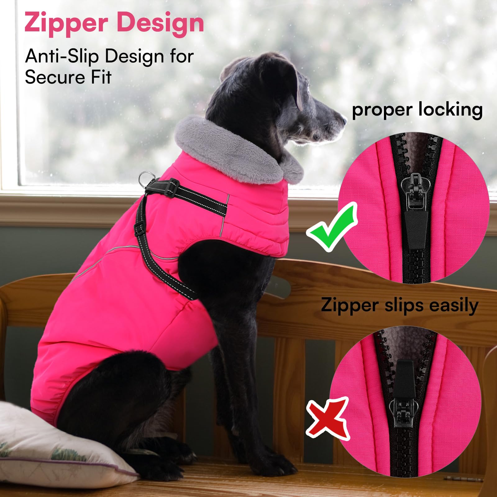 Queenmore manteau chien avec ouverture zippée, habillage rapide et sûr