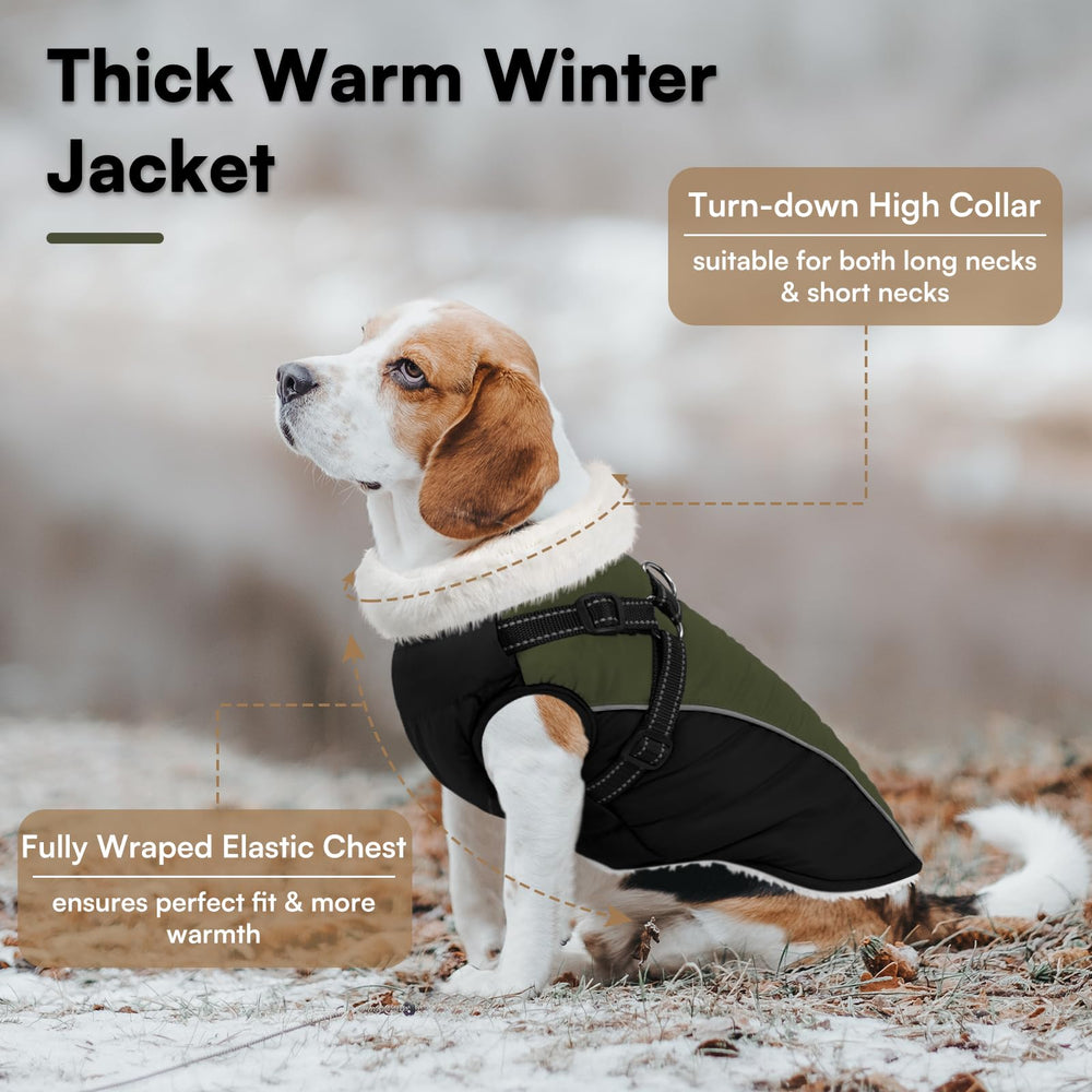 Queenmore manteau-chien harnais ajustable avec boucles pour sécurité lors des sorties.
