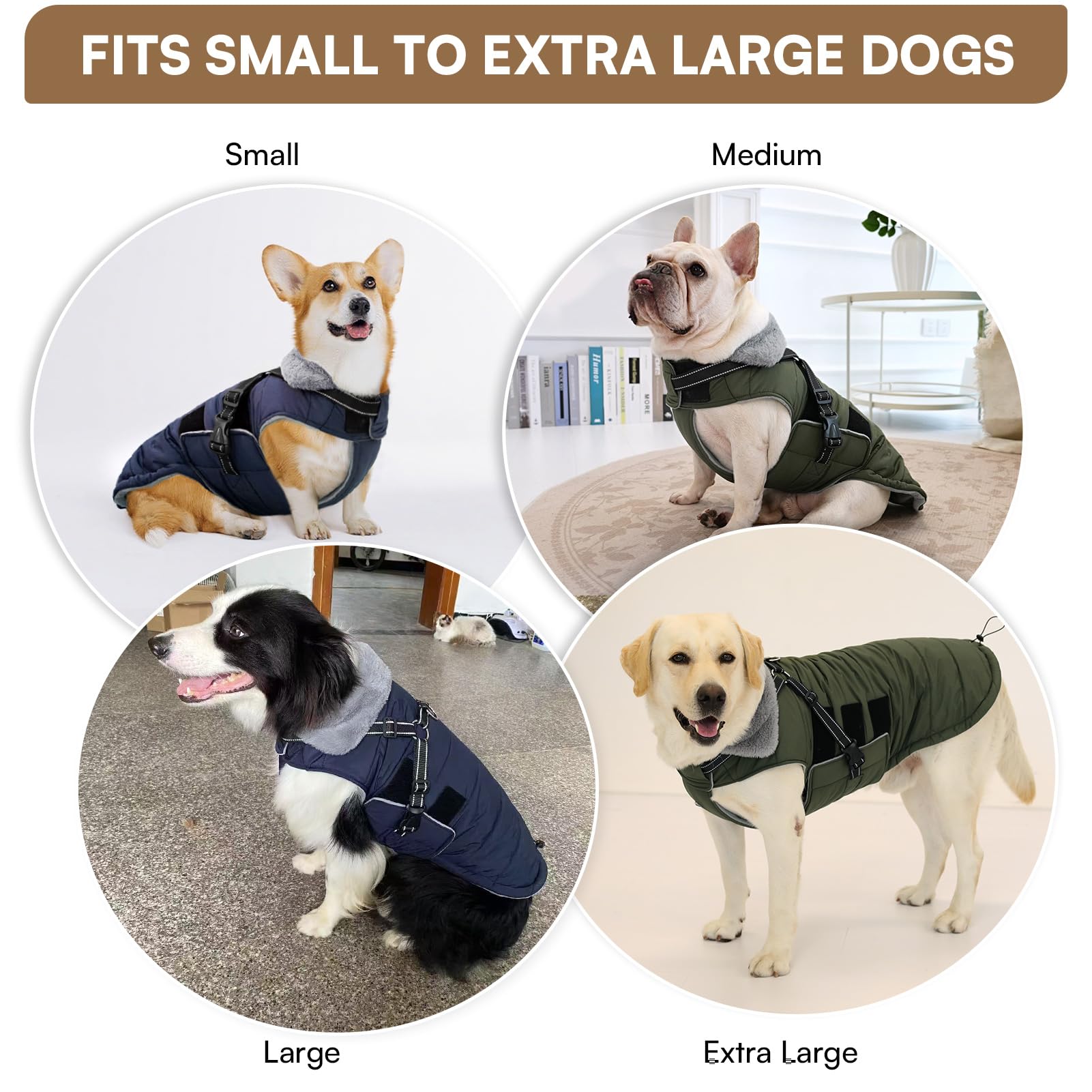 Harnais integre et anneau D du manteau Queenmore pour une traction sûre.
