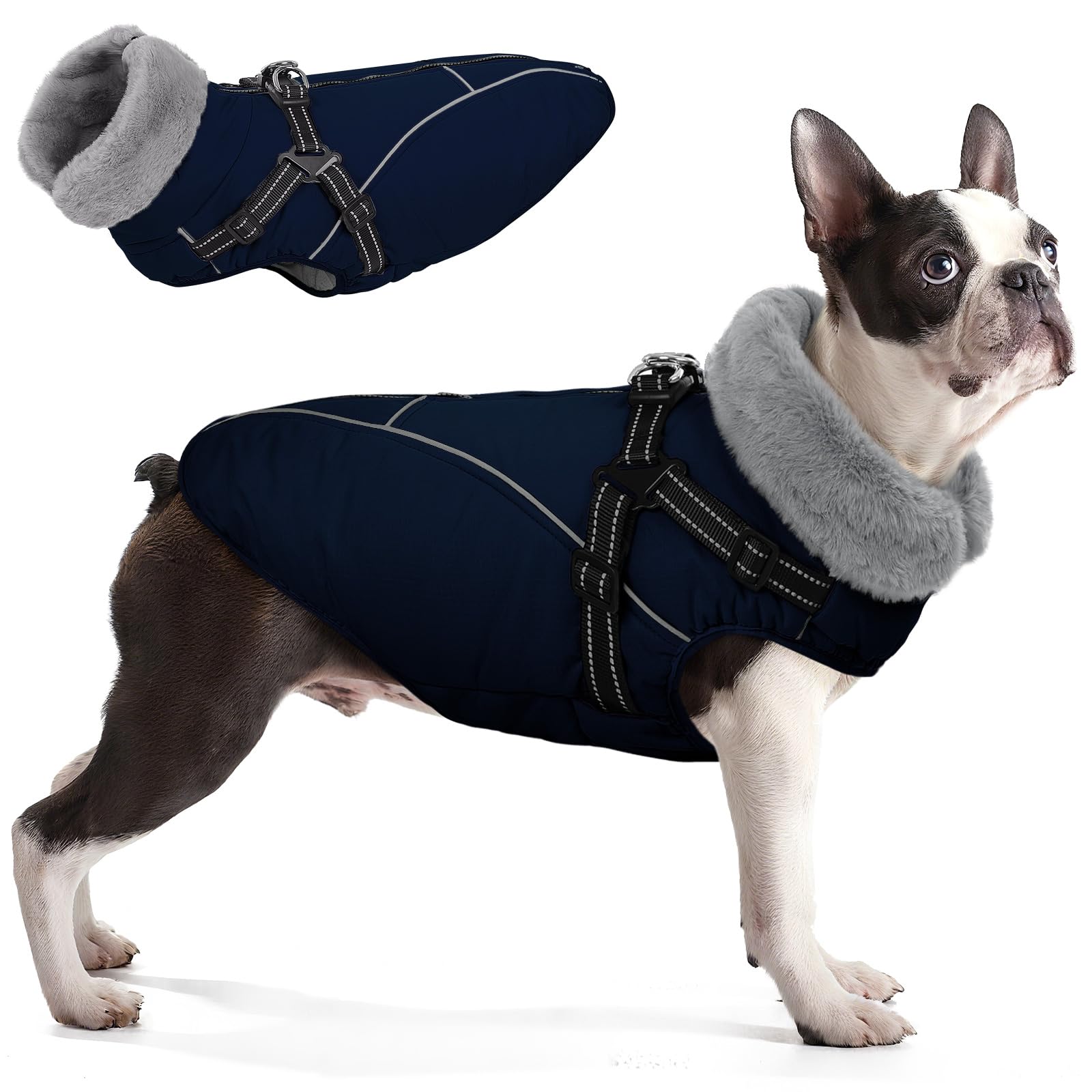 Manteau Queenmore pour chien avec harnais intégré, pratique pour les promenades sécurisées.
