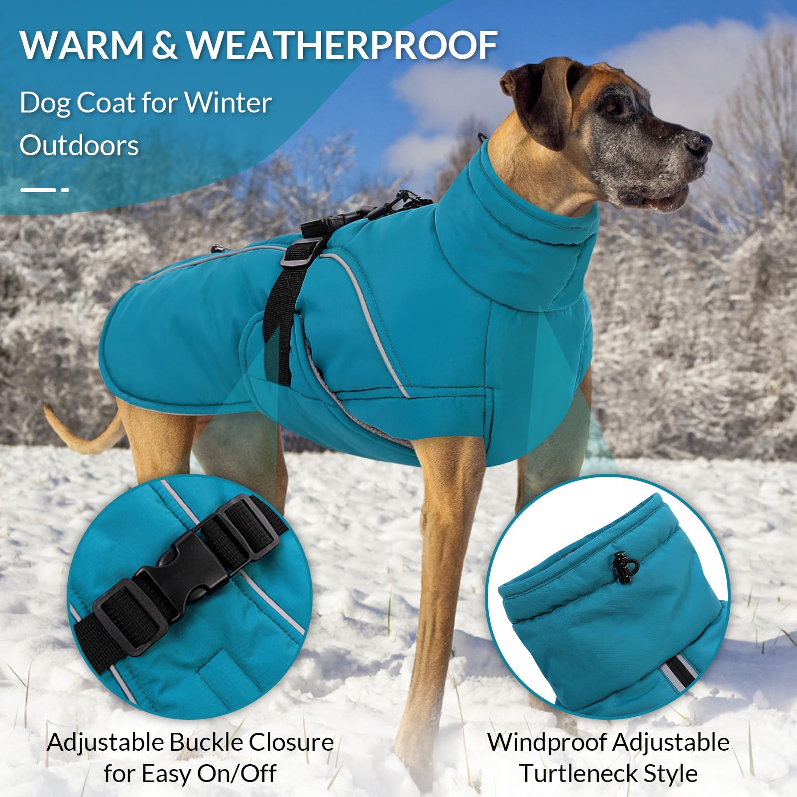 Queenmore manteau chien hiver bleu M arrière — bandes réfléchissantes pour plus de sécurité.