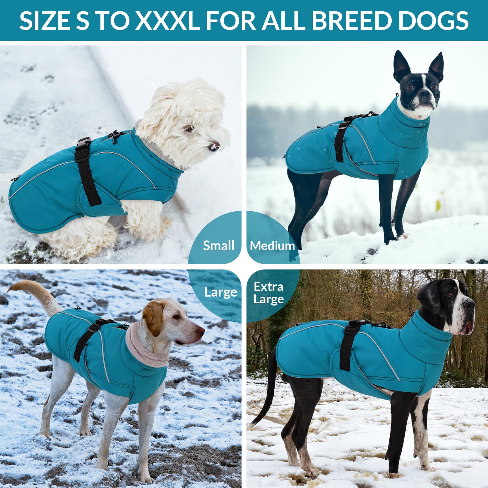 Queenmore manteau chien hiver bleu M reflecteur — meilleure visibilité en faible lumière.