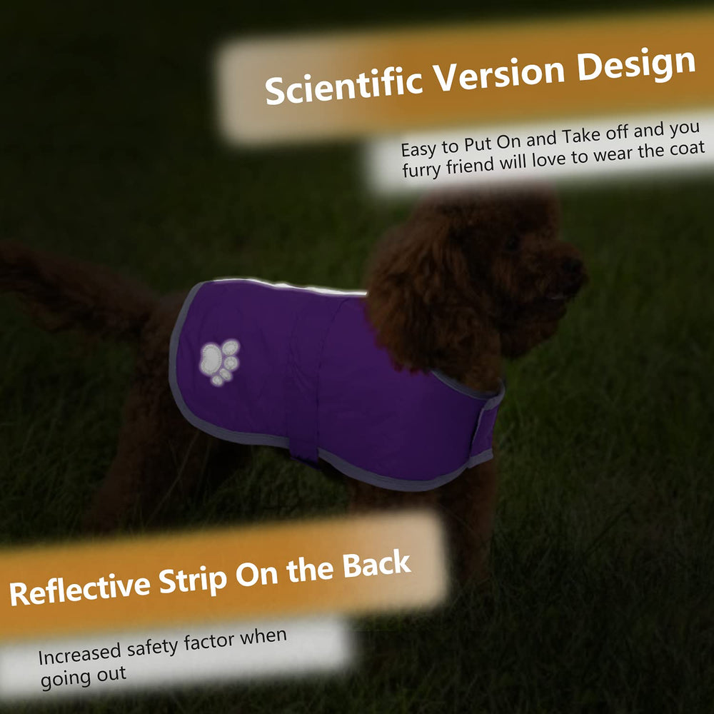 Queenmore manteau chien hiver design avec partie ventrale confortable et ajustable.