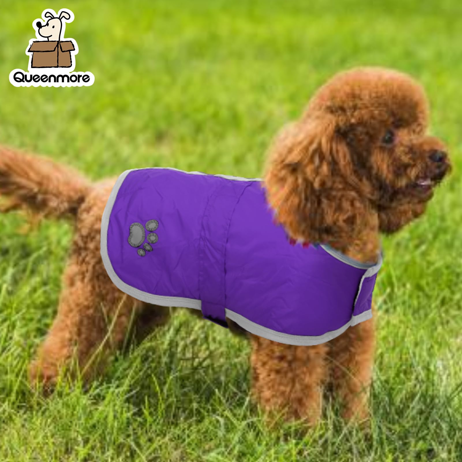 Queenmore manteau chien hiver taille réglable assuré par 19 tailles disponibles.