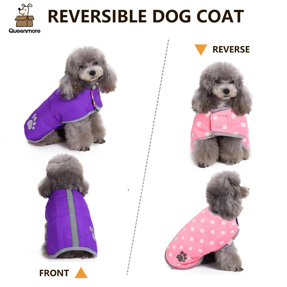Queenmore manteau chien hiver imperméable et doublure respirante pour temps neigeux.
